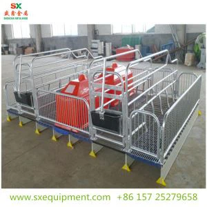 Schwein Abferkelbucht