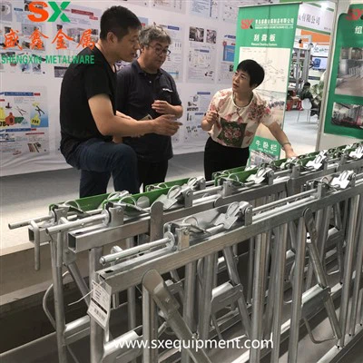 Rinderkopfsperre auf dem Bauernhof