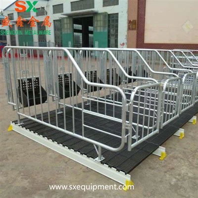 Trächtigkeitsstall für Schweine